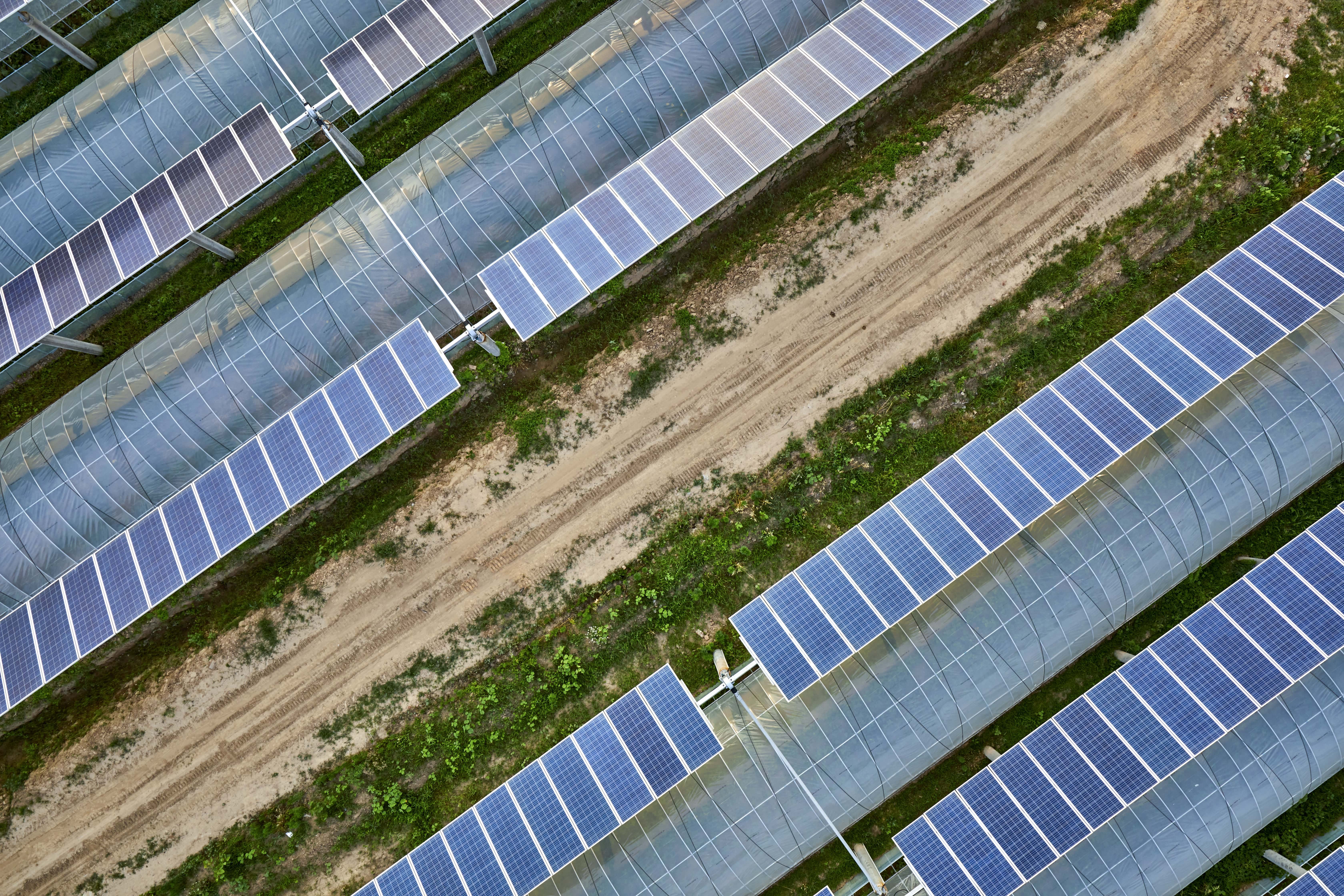 Aerial view of solar panels