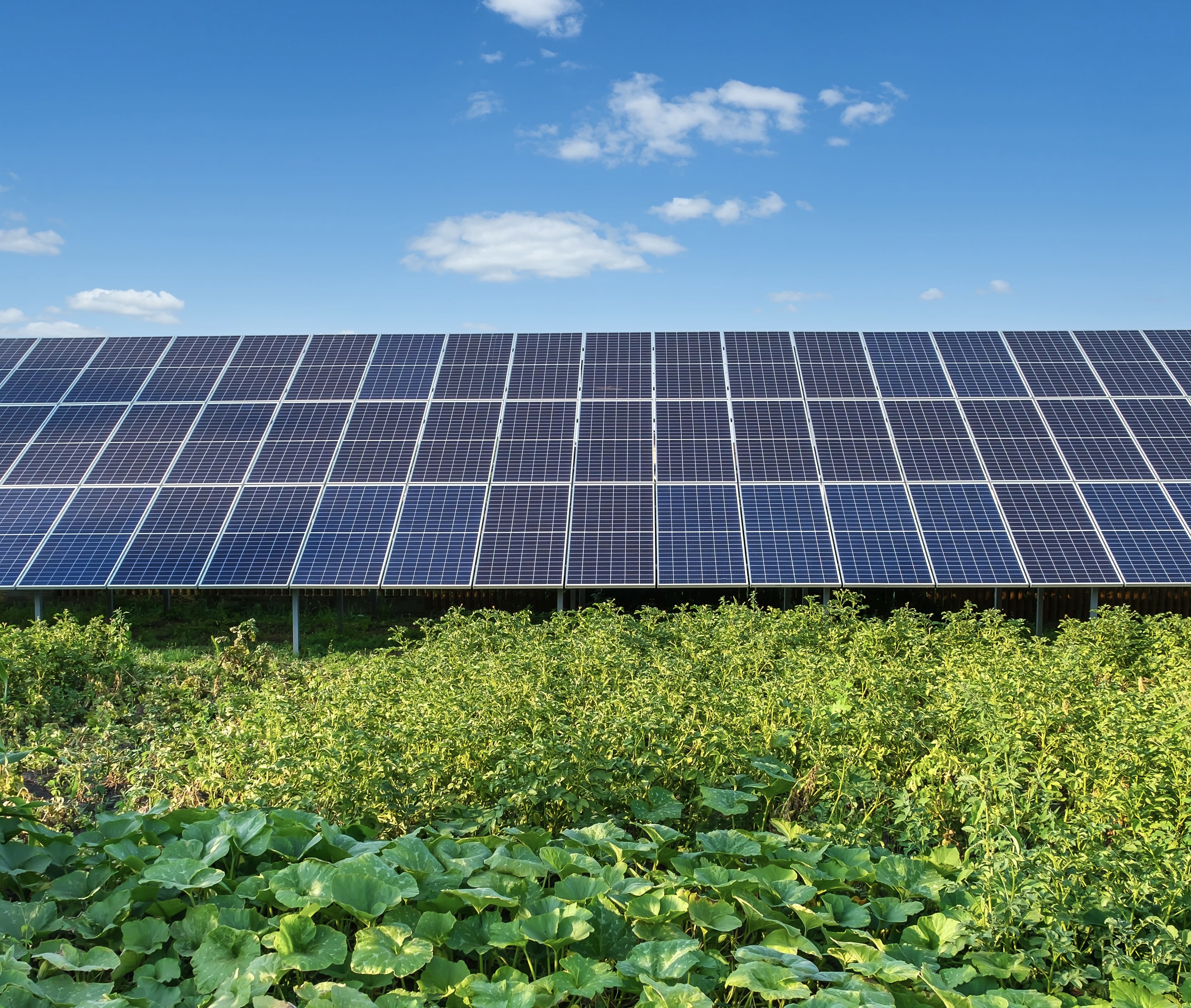 Aerial view of solar panels